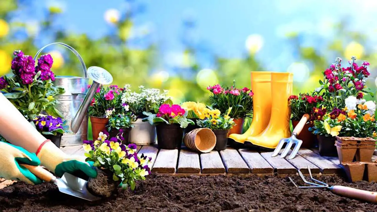 10 Essential Spring Gardening Tasks