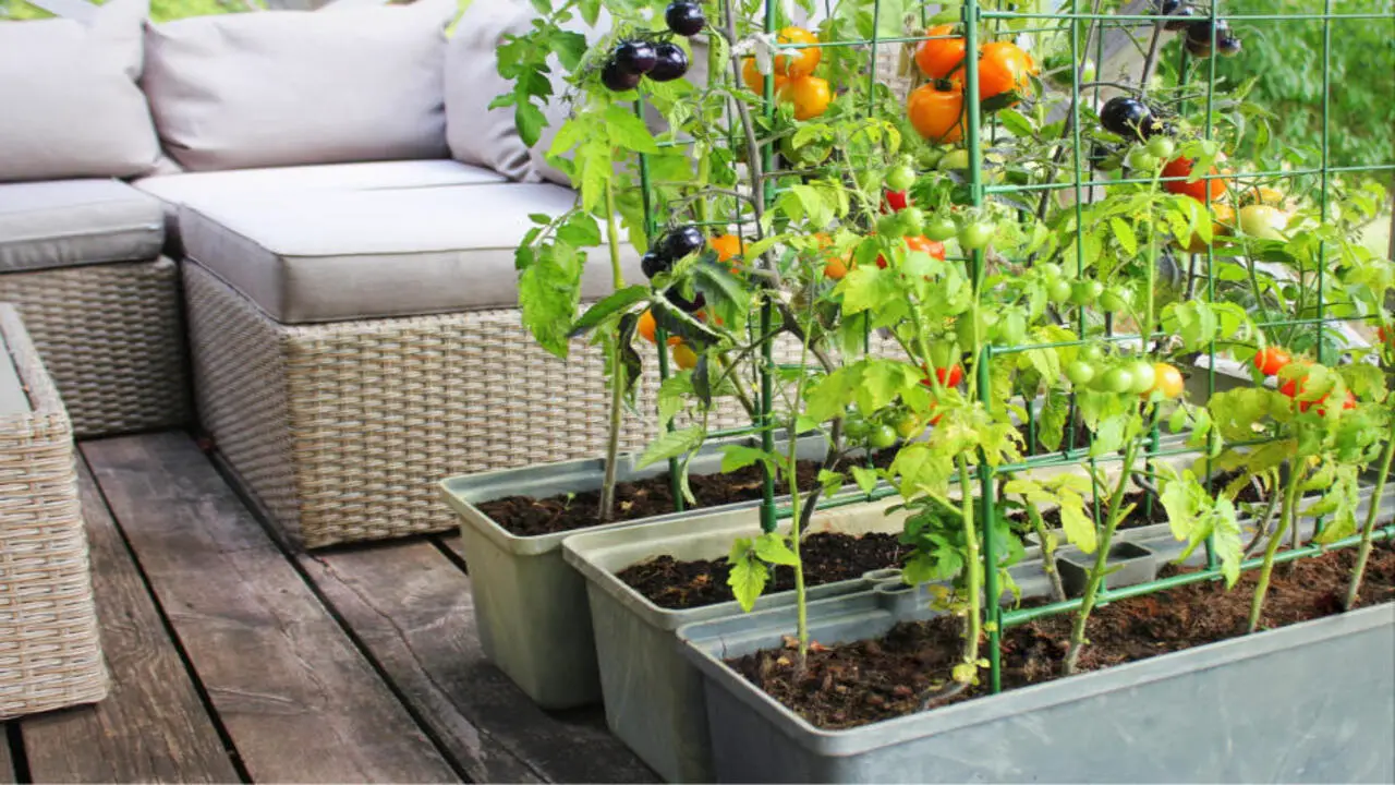 9 Vertical Vegetable Gardens Tips