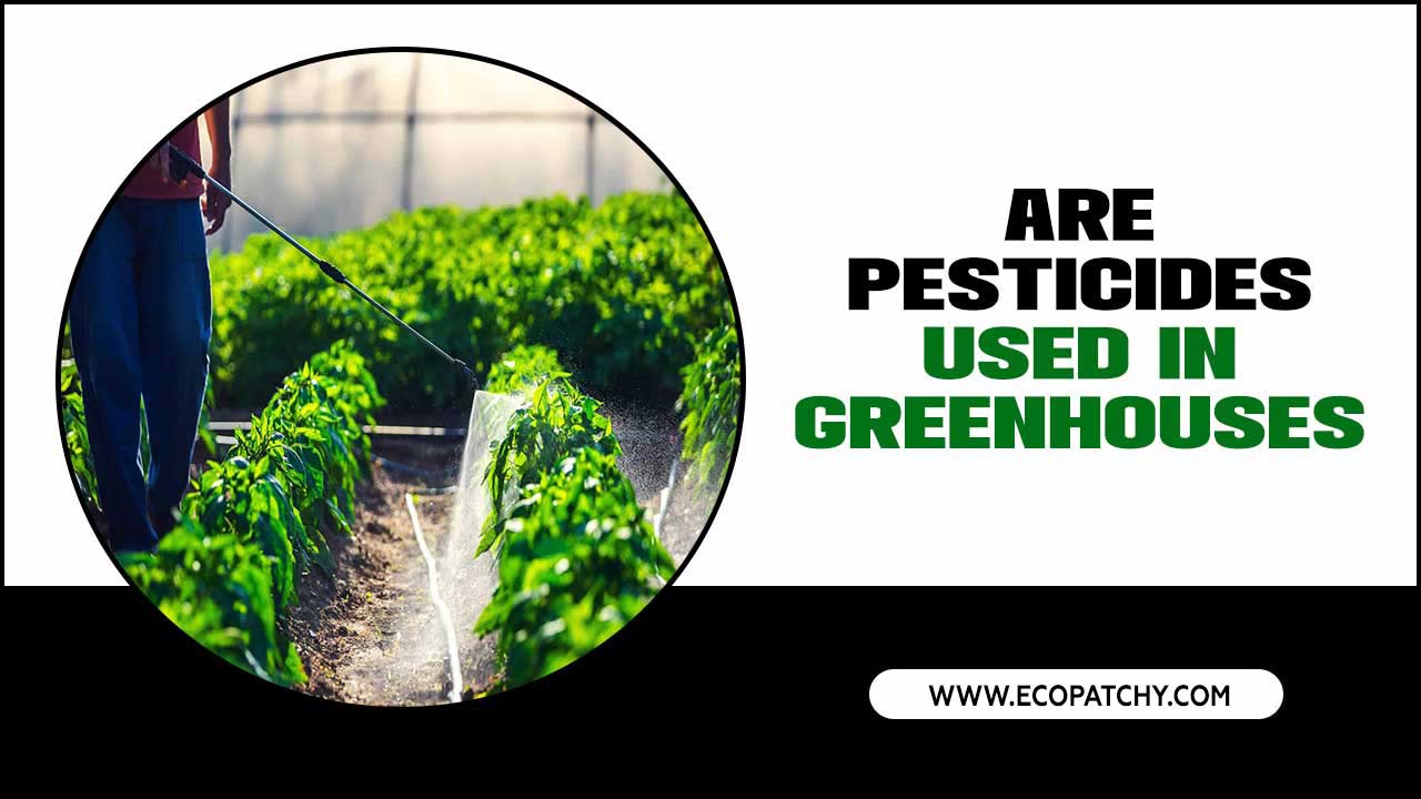 Are Pesticides Used In Greenhouses