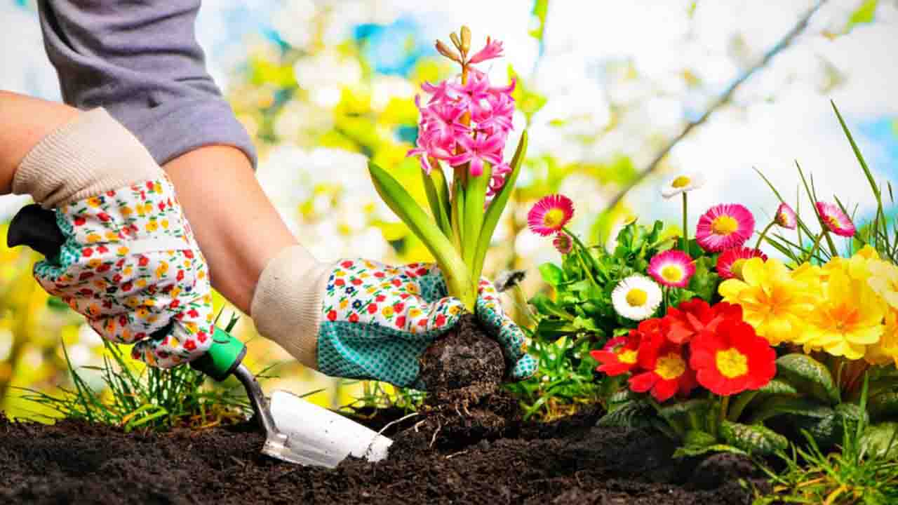 Are There Reliable Online Gardening Platforms