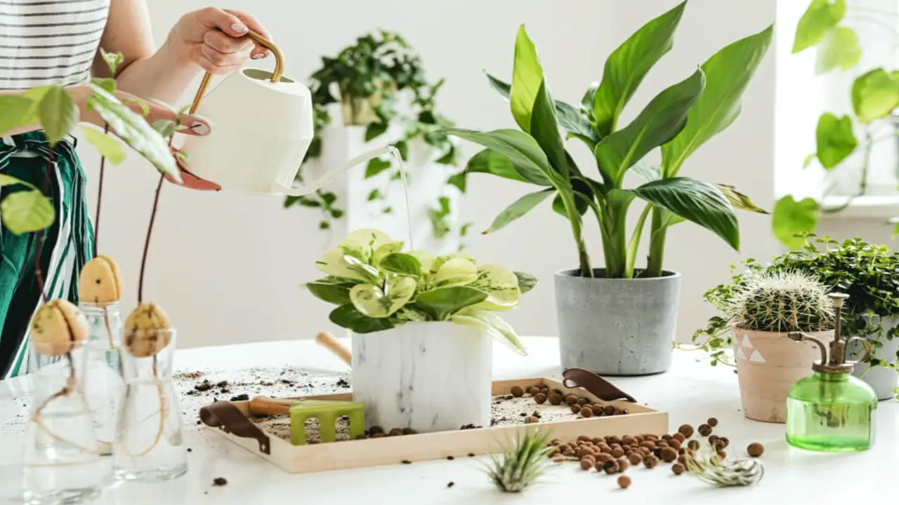 Best 11 Helpful Checklist Of Must-Have Indoor Gardening Supplies