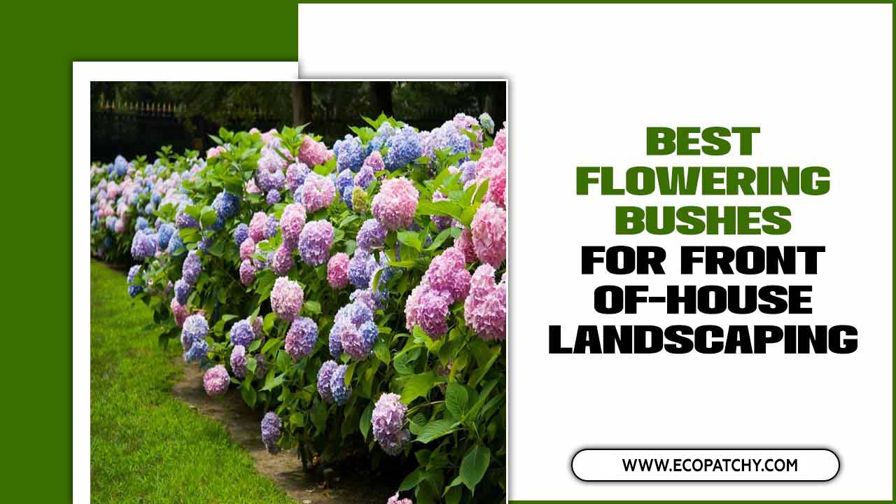 9 Best Flowering Bushes For Front-Of-House Landscaping