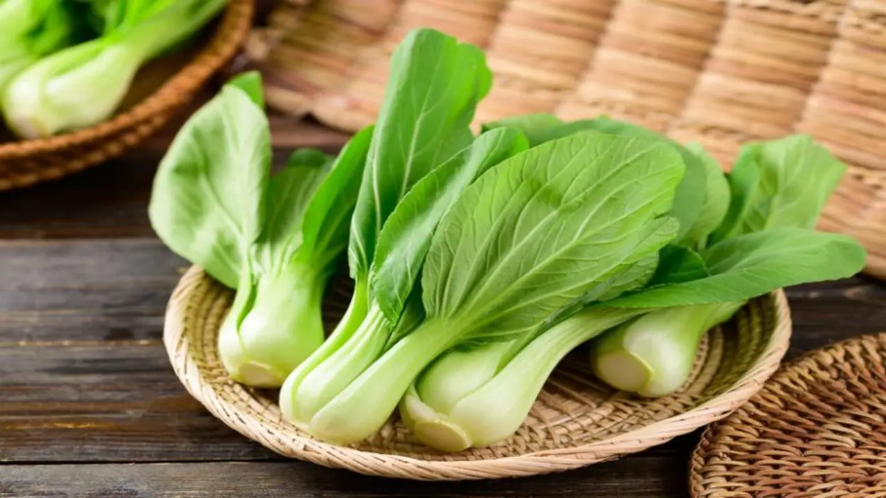 Bok Choy (Brassica Rapa)