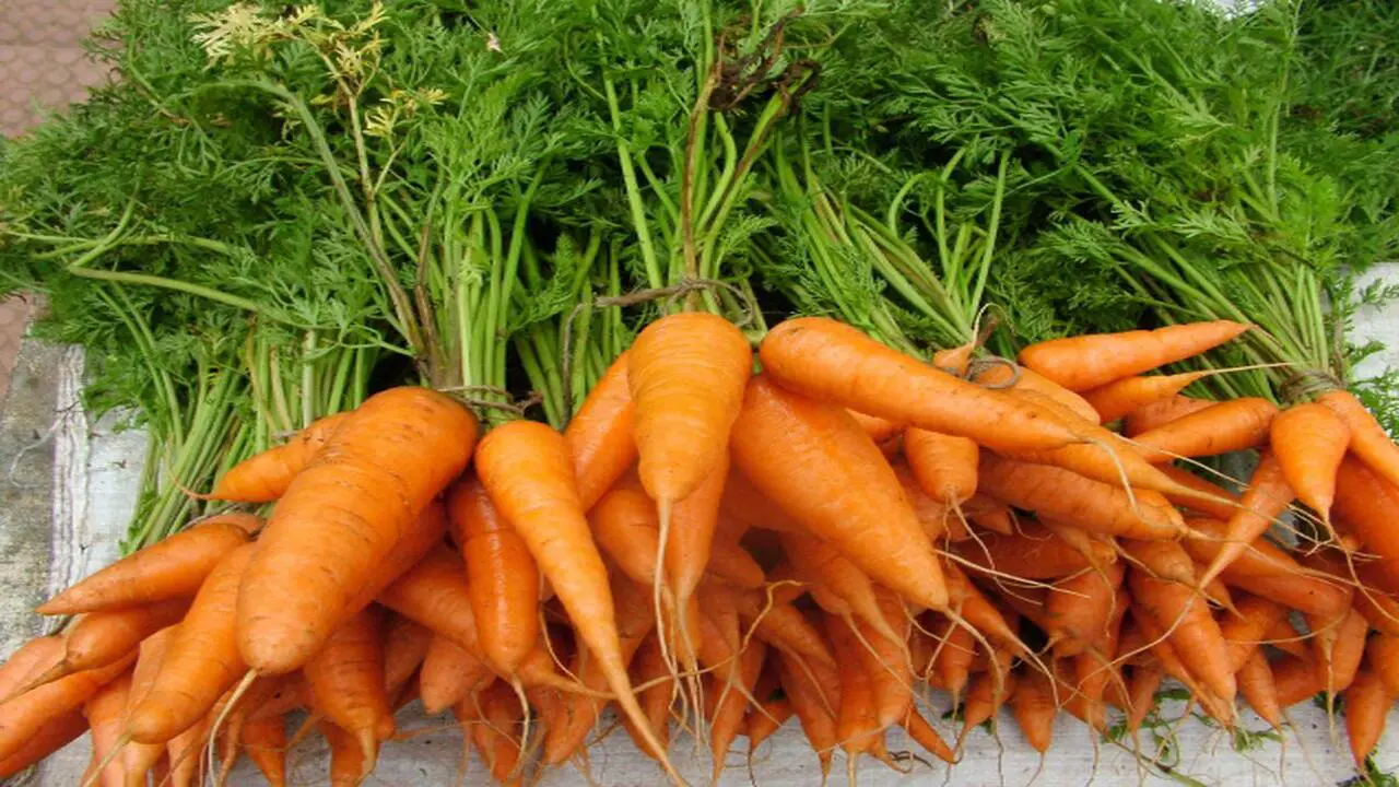 Carrots Maximizing Use Of Space