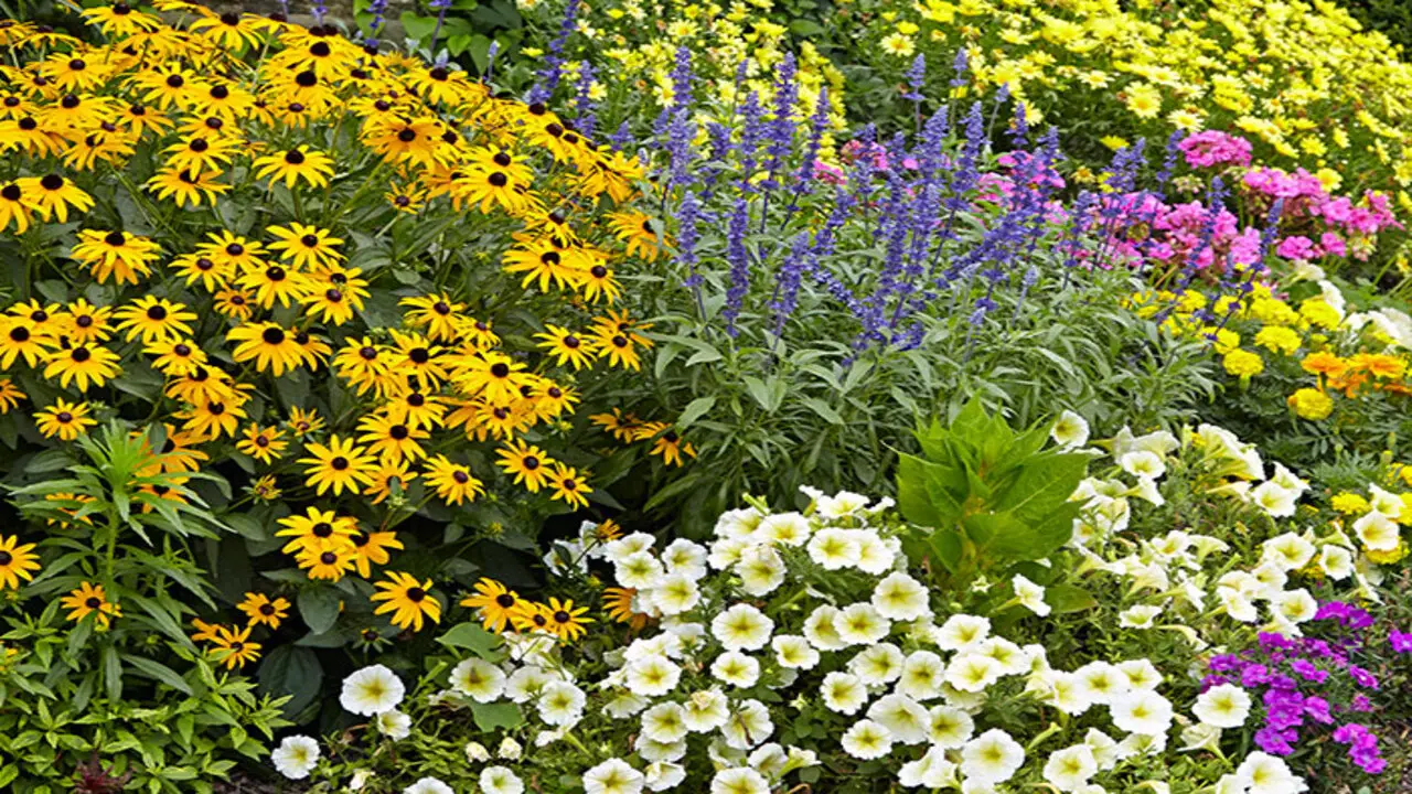 Create A Pollinator Garden