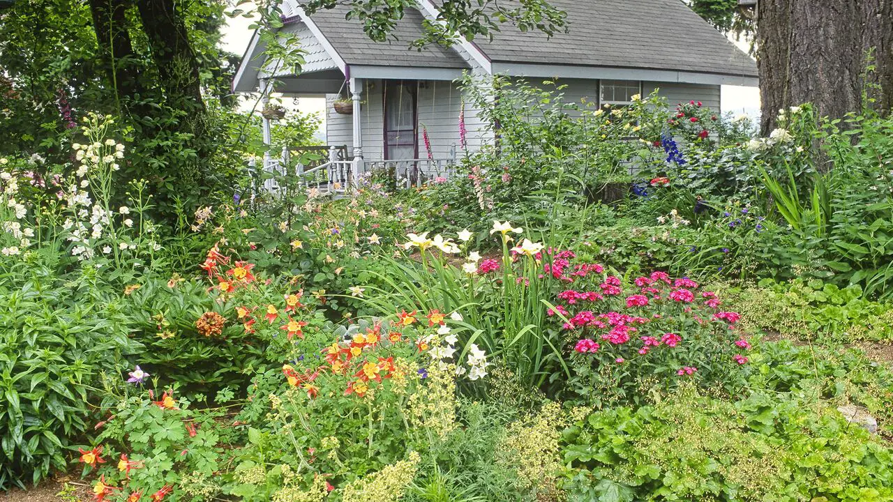 Creating A Layout For Your Cottage Garden
