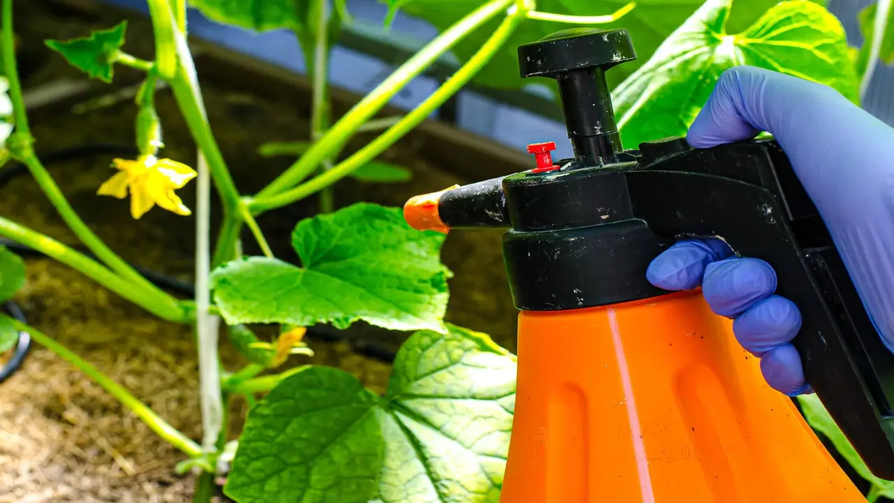 Creating A Pest-Resistant Garden Environment