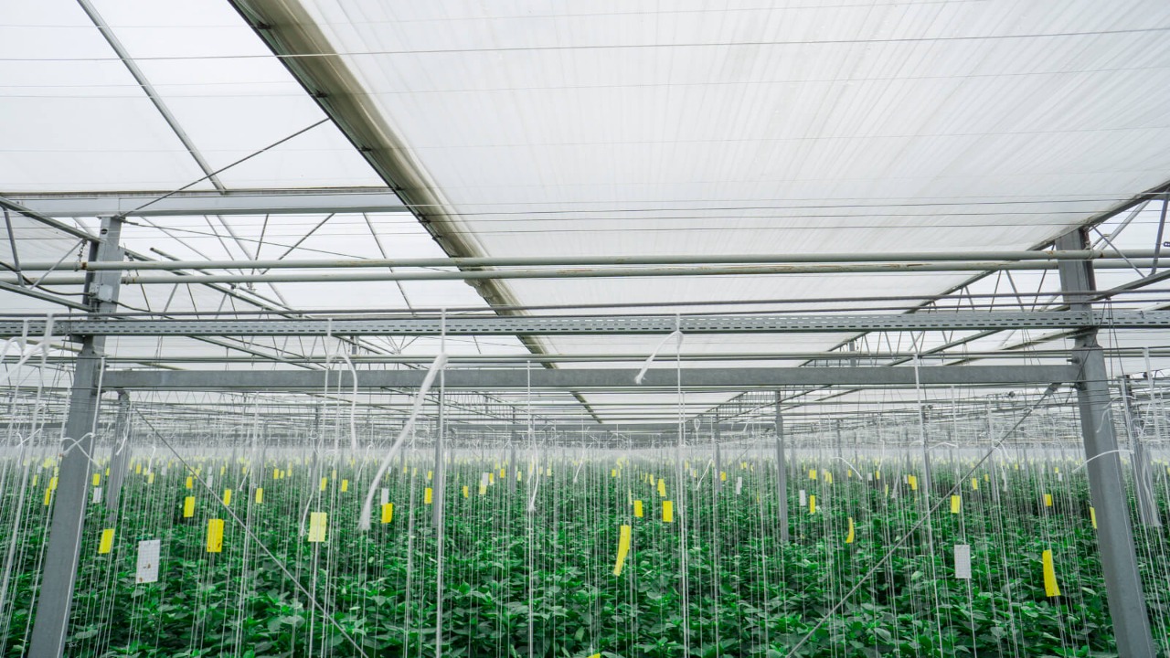 Future Trends And Innovations In Greenhouse Energy Efficiency