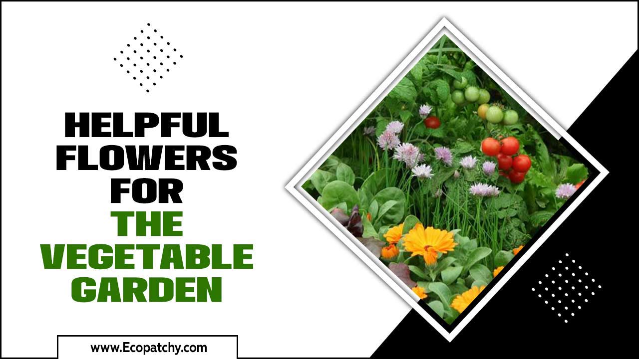 Helpful Flowers For The Vegetable Garden