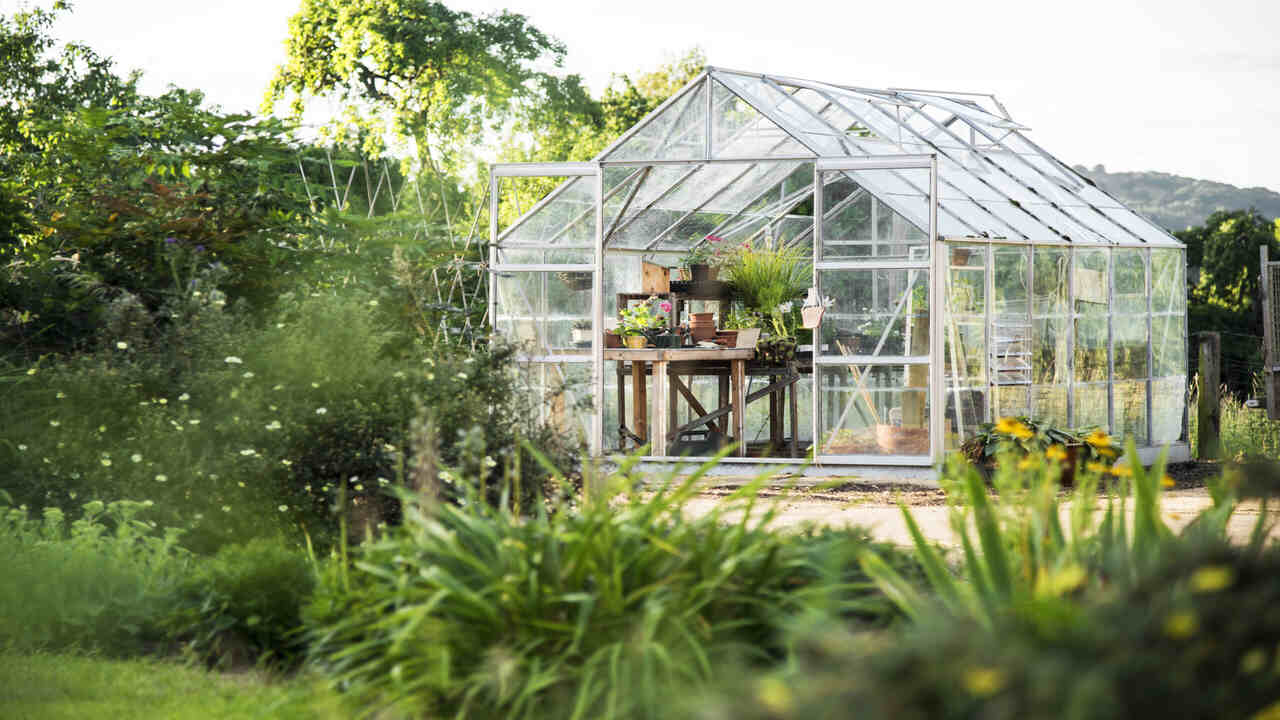 Helpful Tips For Maintaining A Mite-Free Greenhouse Environment