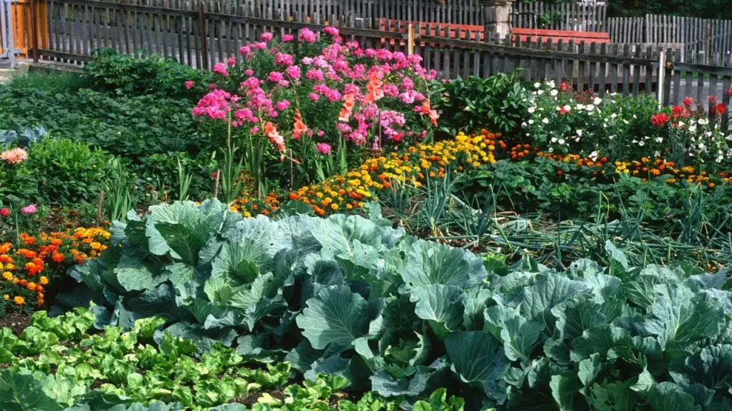 How Can Companion Planting Contribute To A Thriving Garden