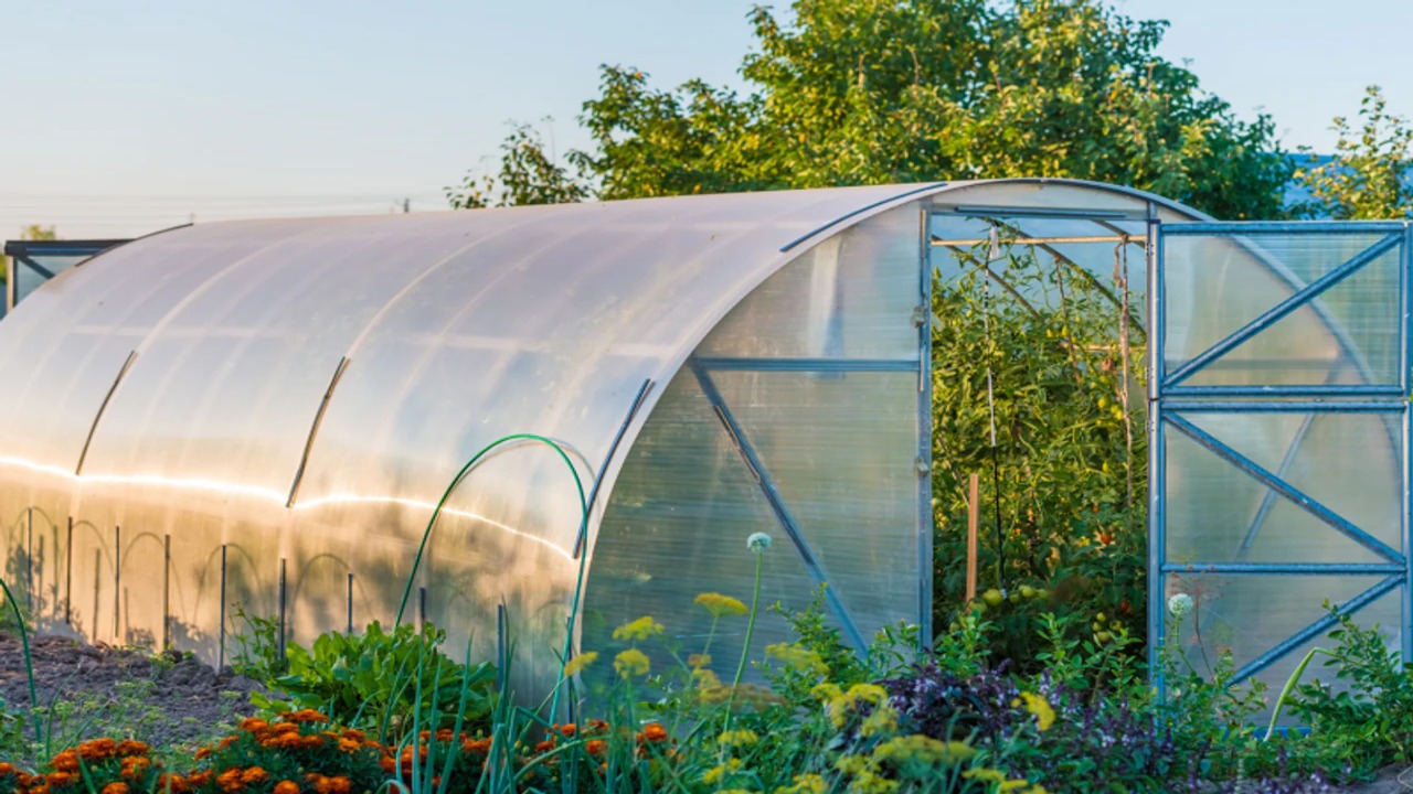How Can You Keep Bees In A Greenhouse - 5 Easy Ways