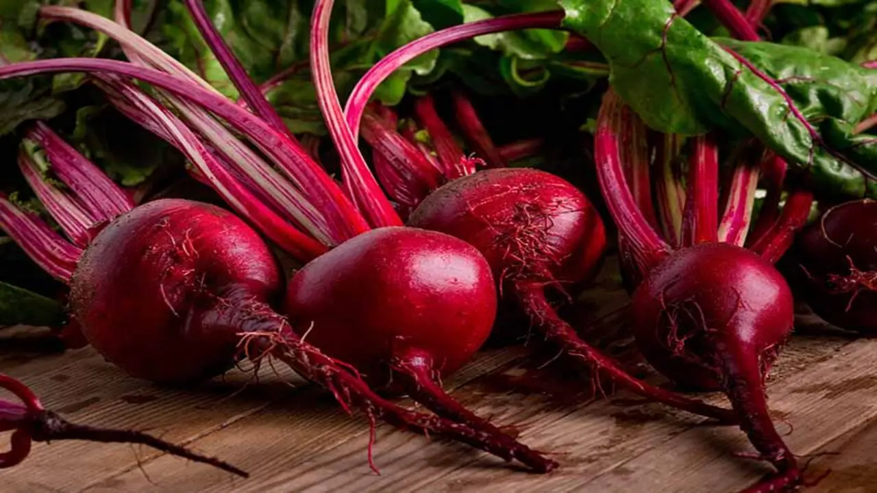 How Much Depth Do Beets Need