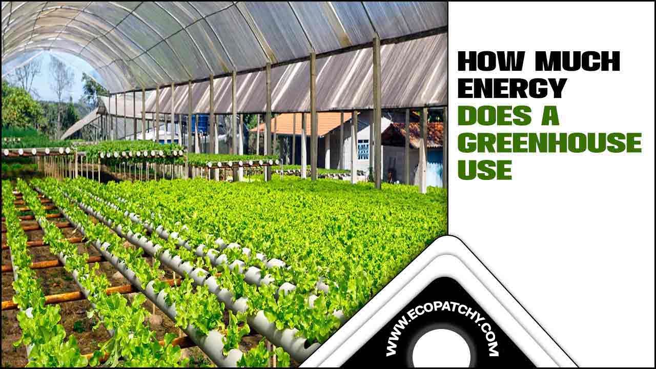 How Much Energy Does A Greenhouse Use