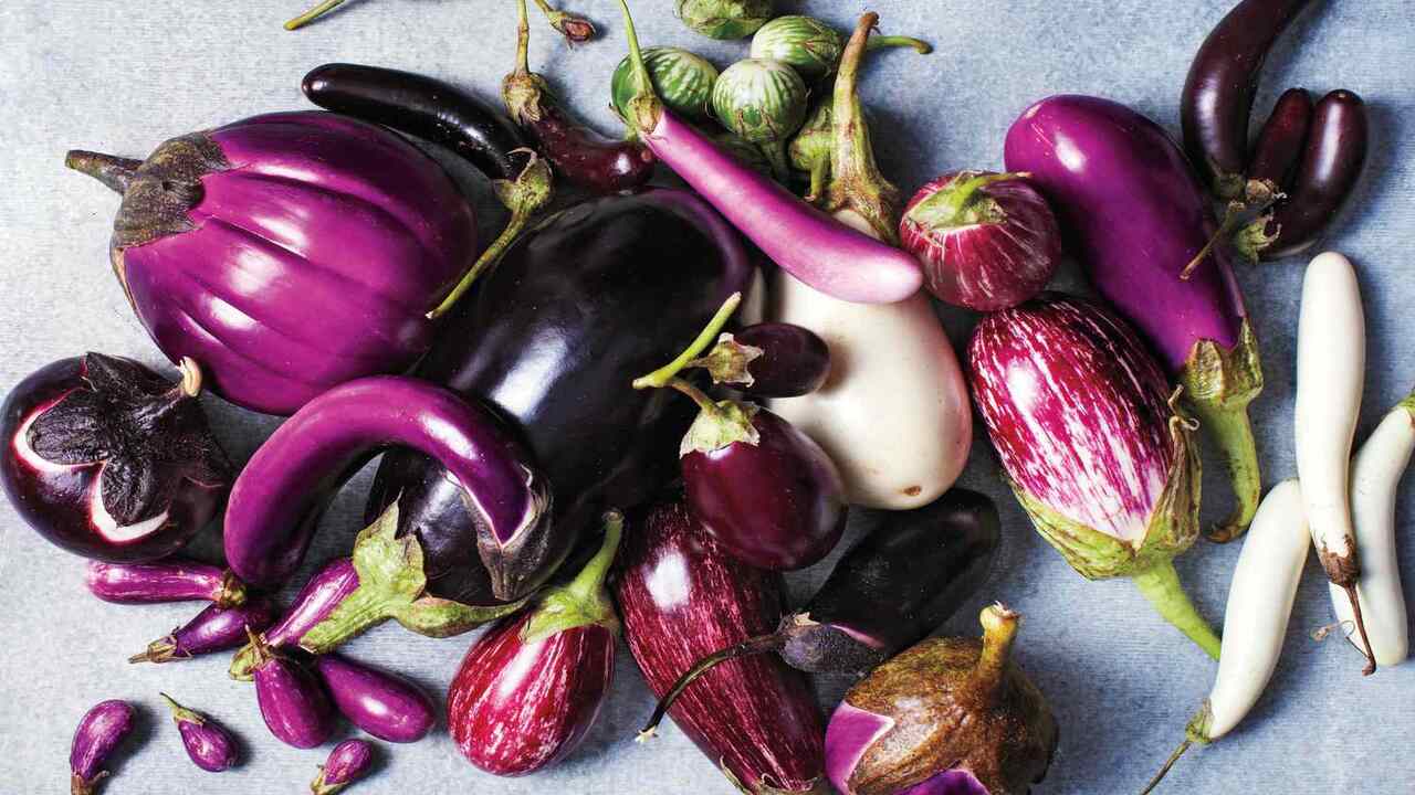 How To Choose The Right Variety Of Eggplant