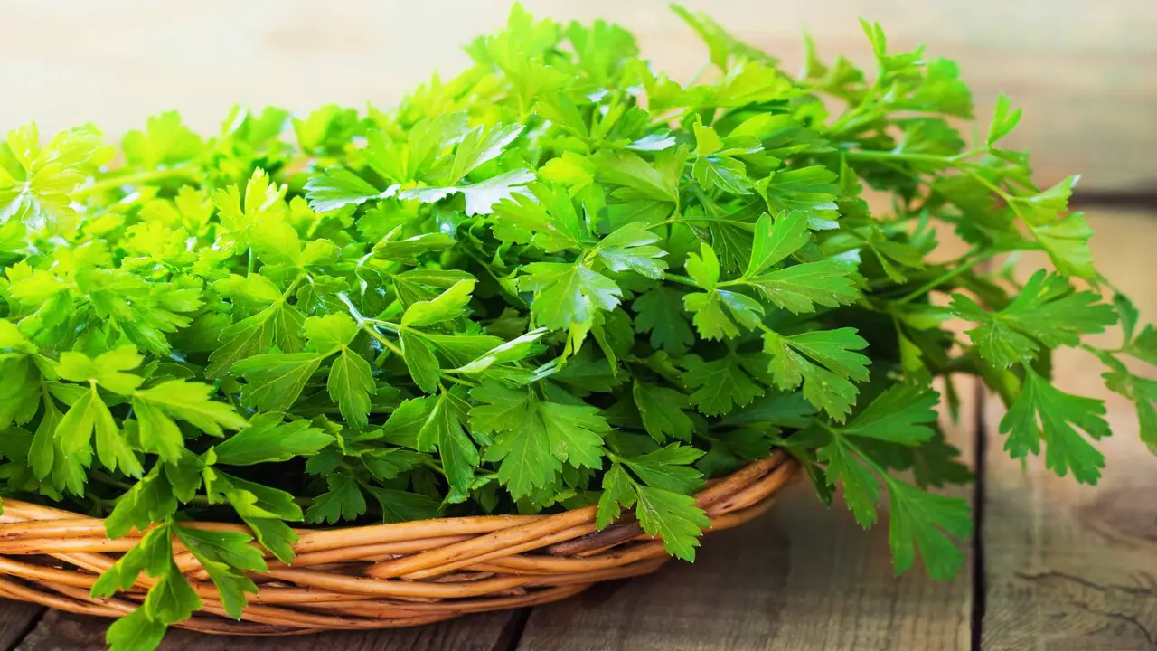 How To Clean And Prepare Parsley For Harvest