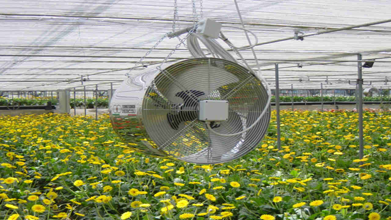 How To Control Humidity In A Greenhouse: 5 Easy Methods