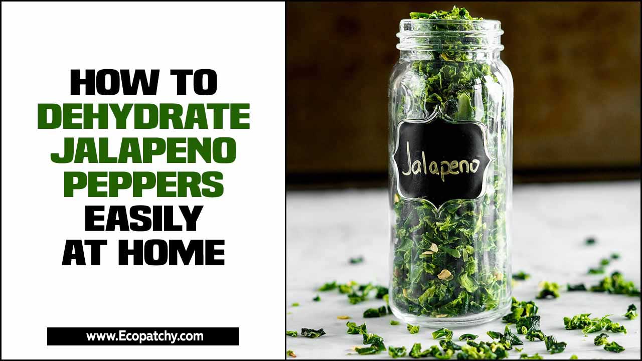 How To Dehydrate Jalapeno Peppers Easily At Home