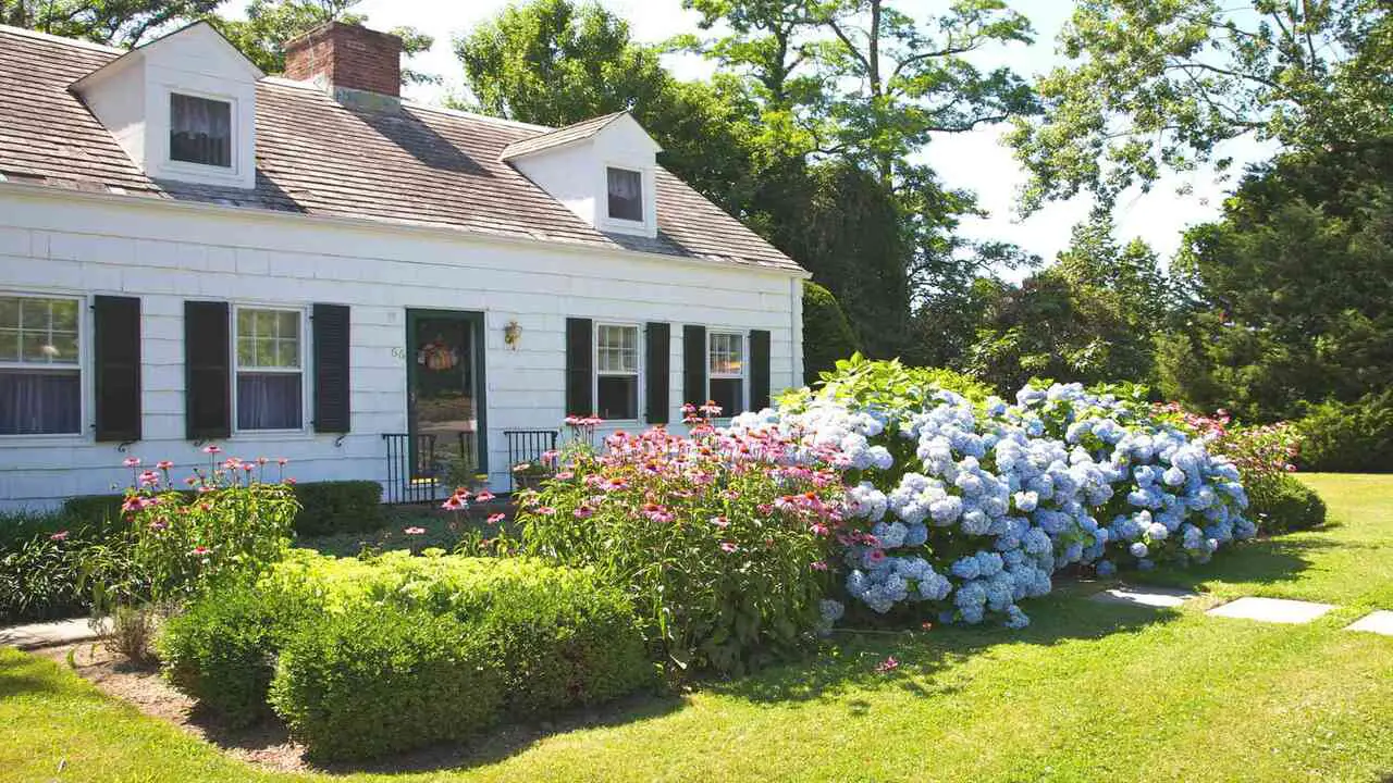 How To Incorporate These Flowering Bushes In Your Front Yard