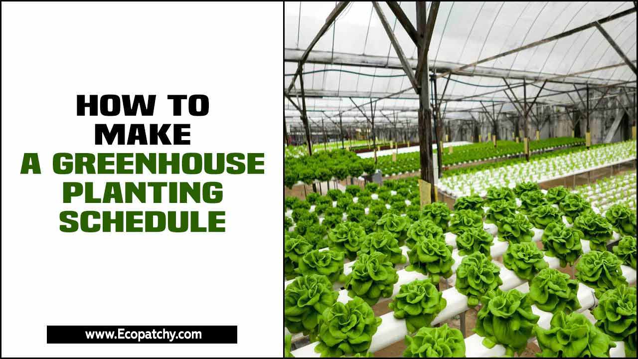 How To Make A Greenhouse Planting Schedule