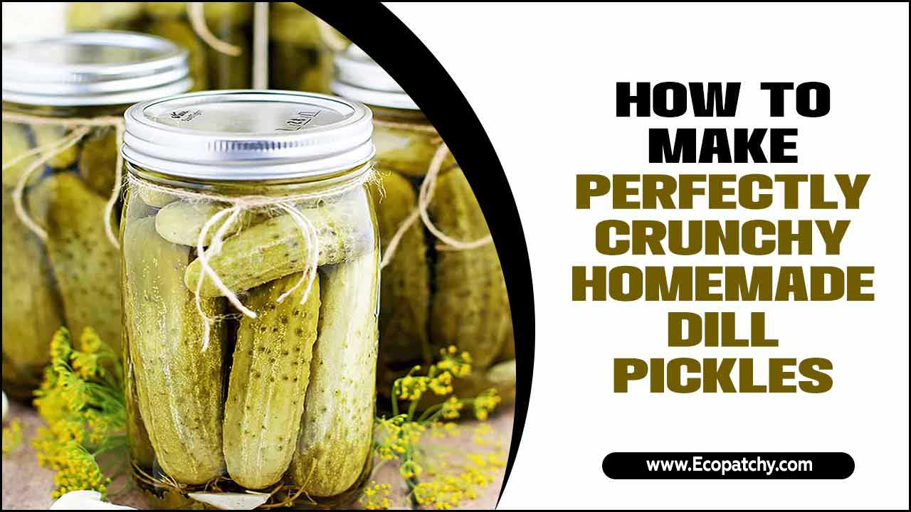 How To Make Perfectly Crunchy Homemade Dill Pickles