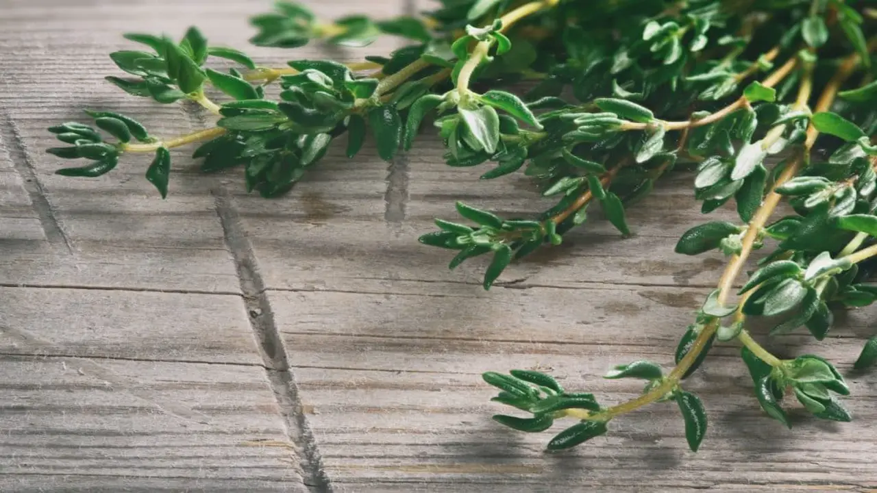 How To Use Thyme