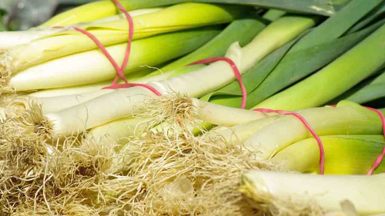 Importance And Benefits Of Companion Planting For Leeks