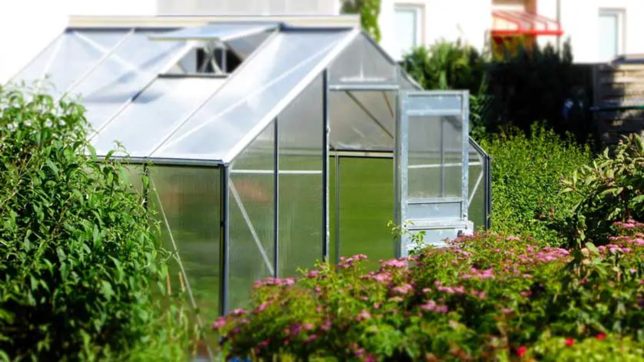 Importance Of Beekeeping In A Greenhouse