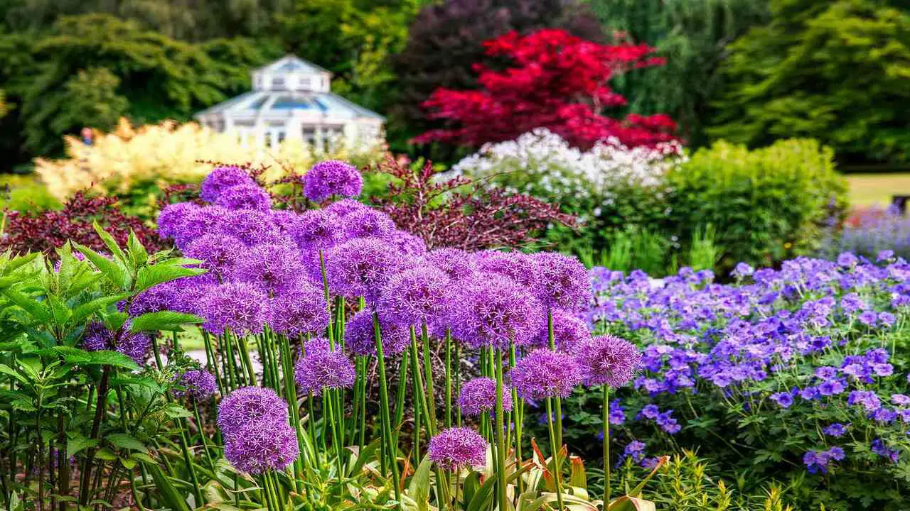 Maintenance And Care Tips For Deer Resistant Perennials