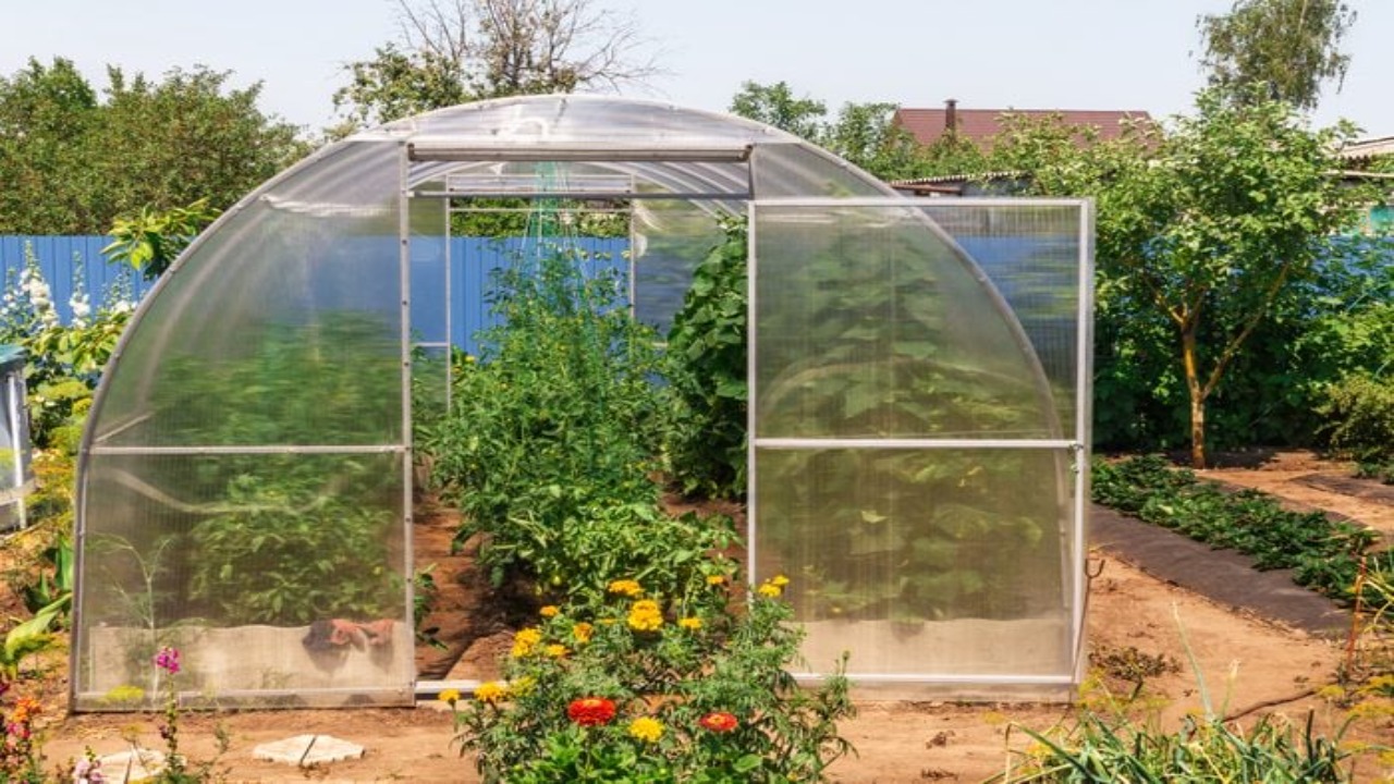 Making The Final Decision On The Best Plastic For Your Greenhouse