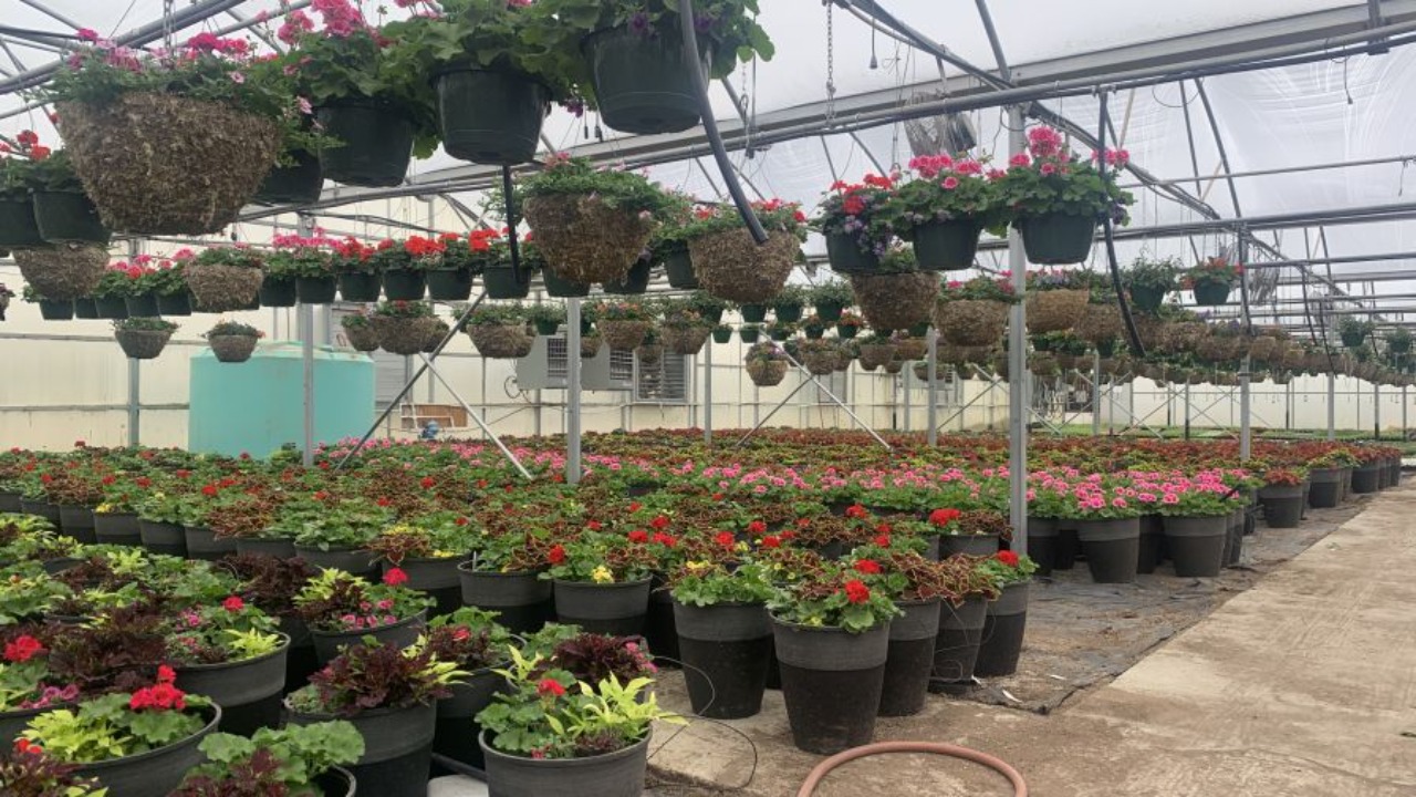 Monitoring And Managing Energy Usage In Greenhouses