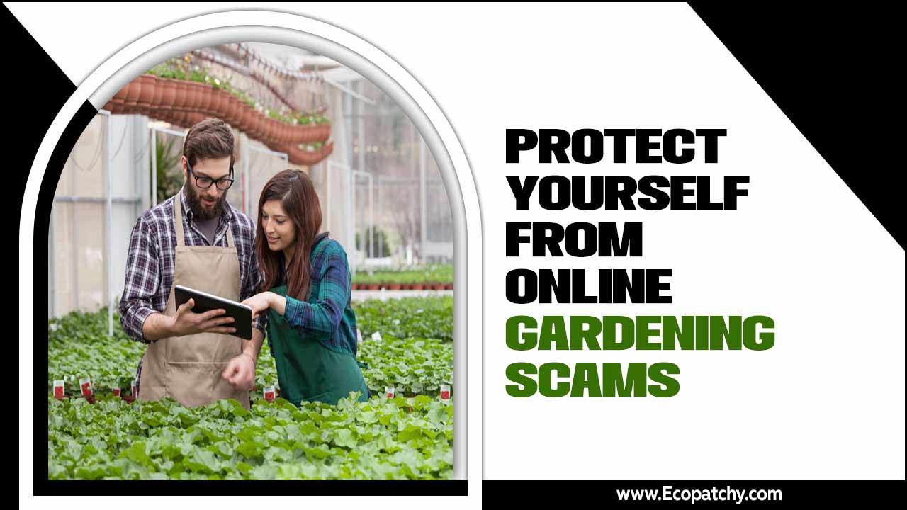 Protect Yourself From Online Gardening Scams