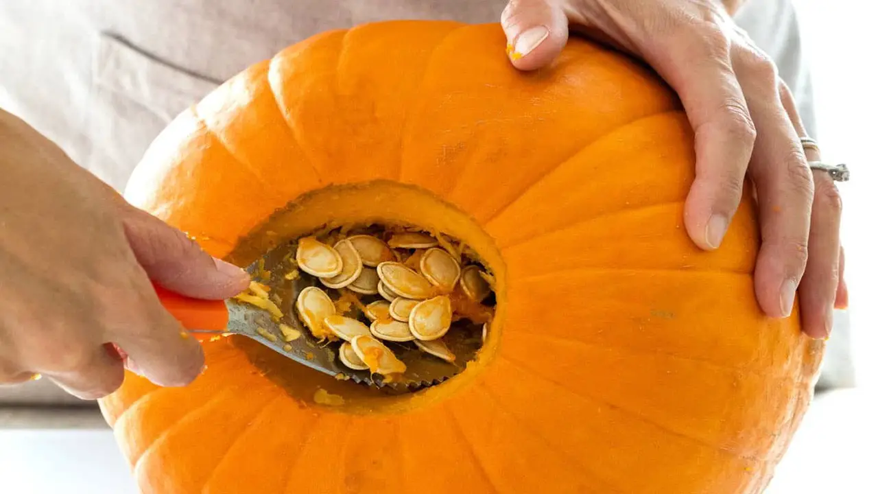 Remove The Seeds From The Pumpkin