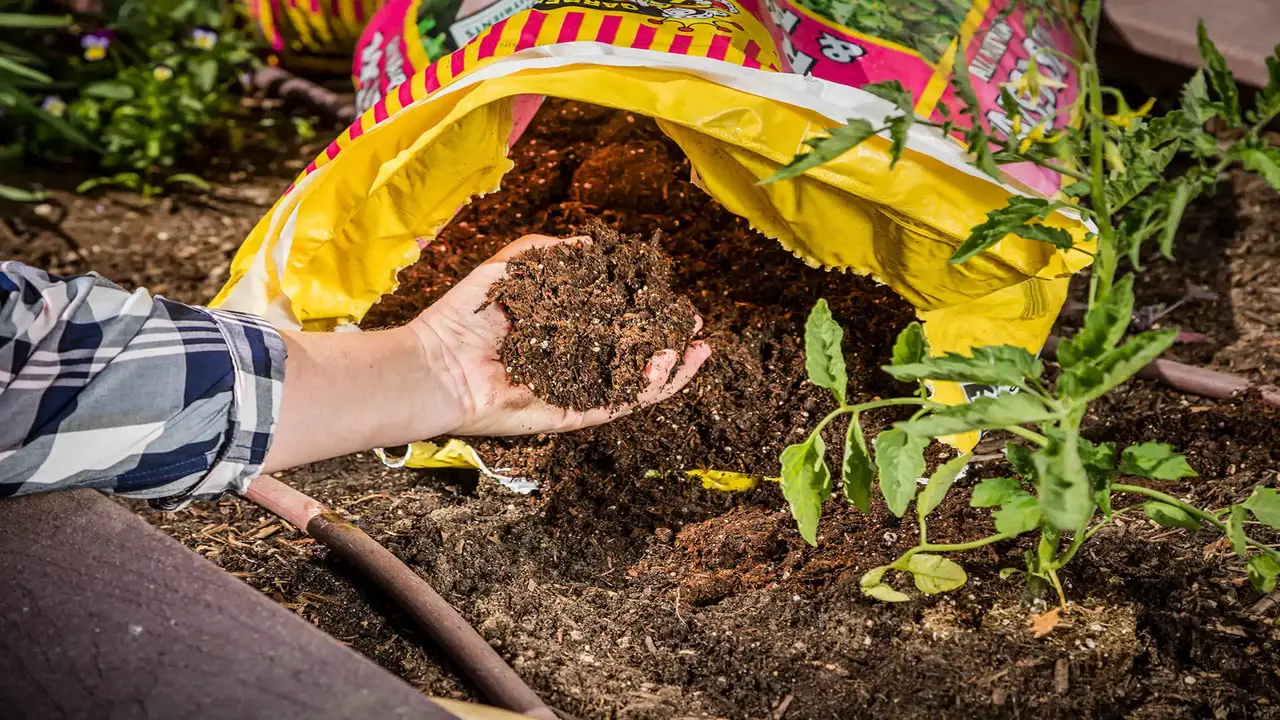 Replenish Soil With Compost