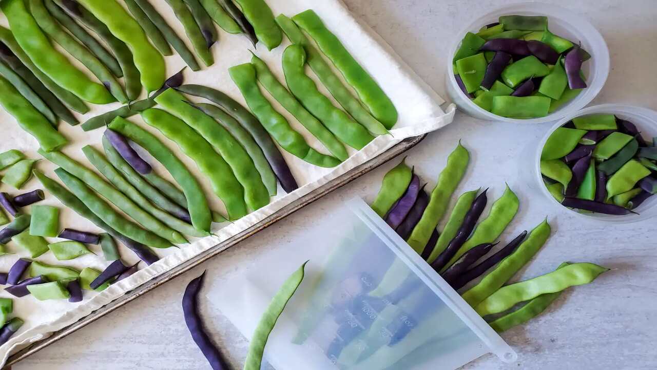 Selecting And Preparing Green Beans For Freezing