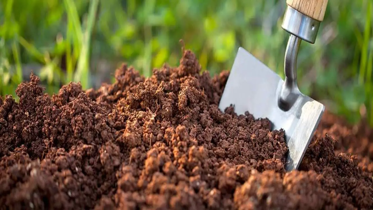 Soil Type And Fertilizer