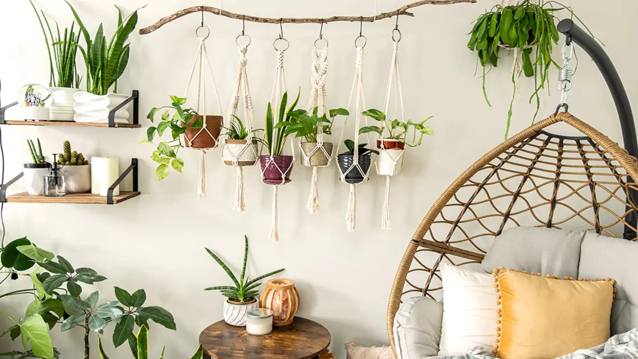 Styling And Display Ideas For Indoor Hanging Plants
