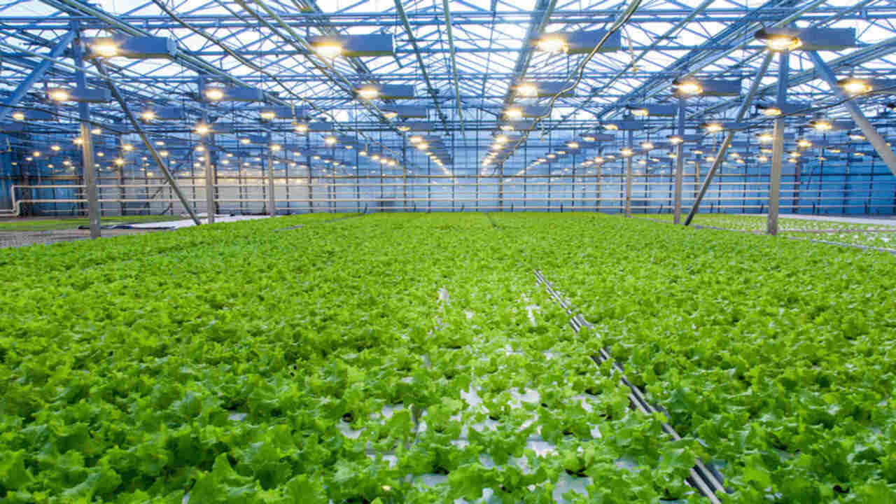 The 20th Century And Beyond - Technological Advancements In Greenhouse Technology