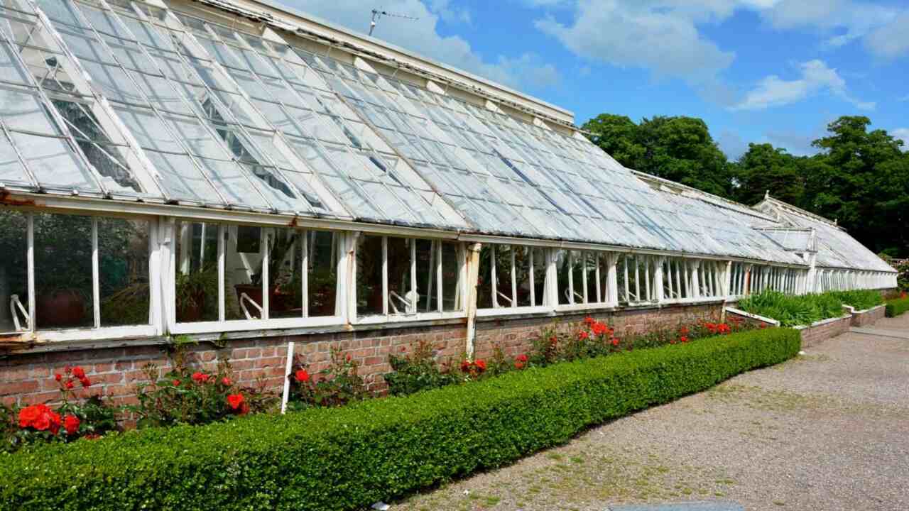The Renaissance And The Birth Of Modern Greenhouses