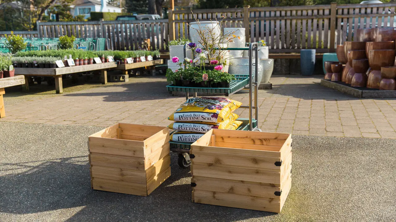 Think Outside The Planter Box