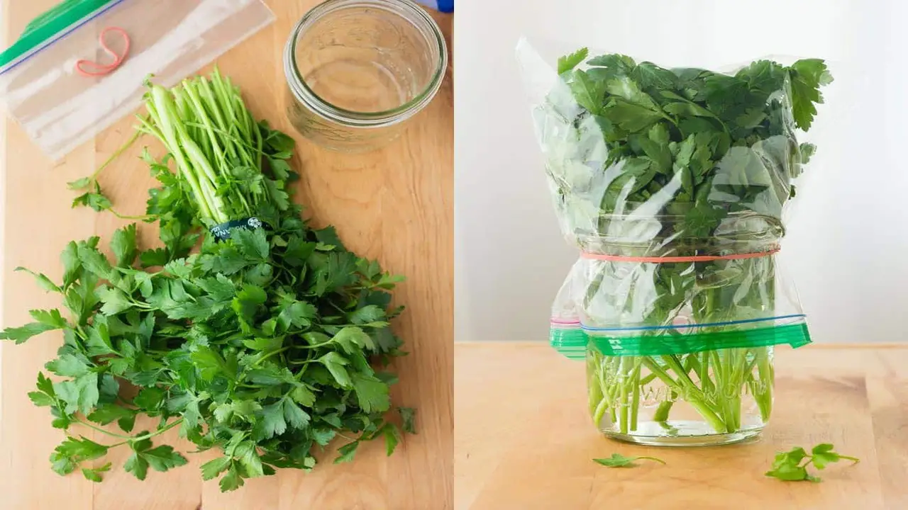 Tips For Drying And Storing Parsley