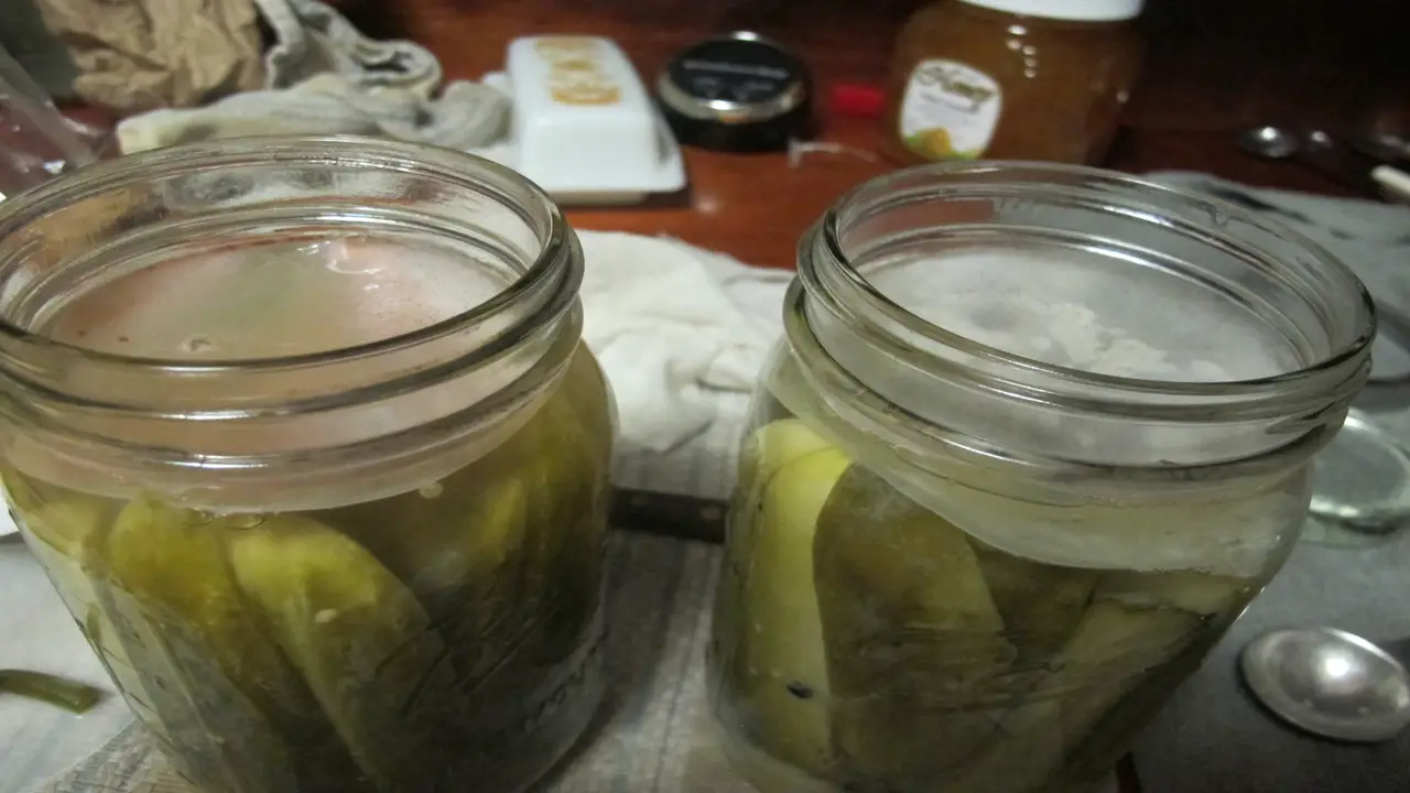 Troubleshooting Common Pickling Problems