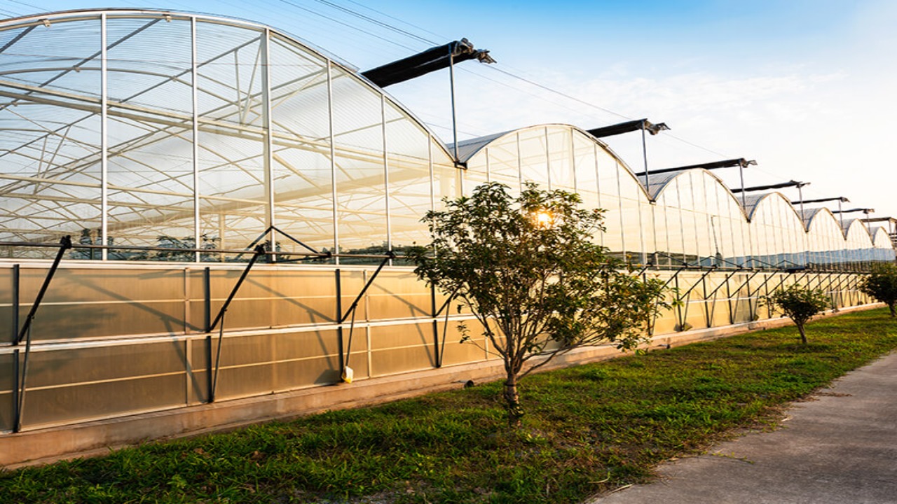 Types Of Energy Sources For Greenhouses