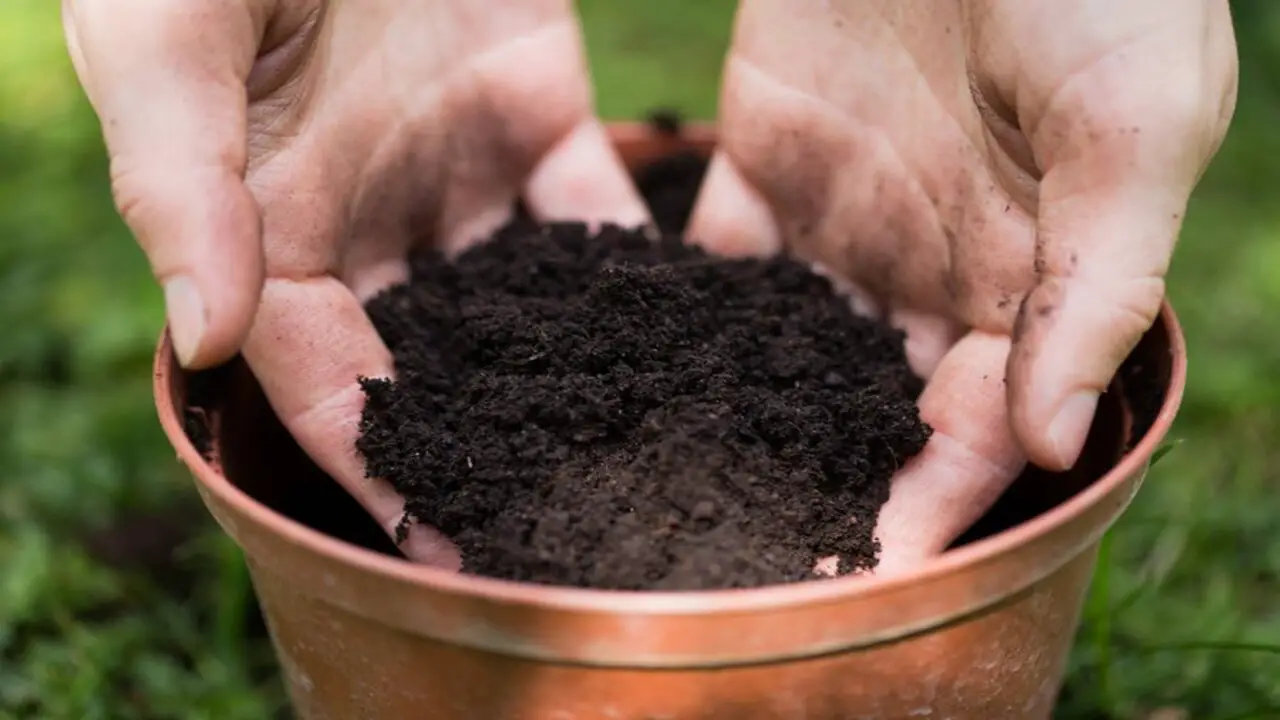 Use The Right Potting Soil