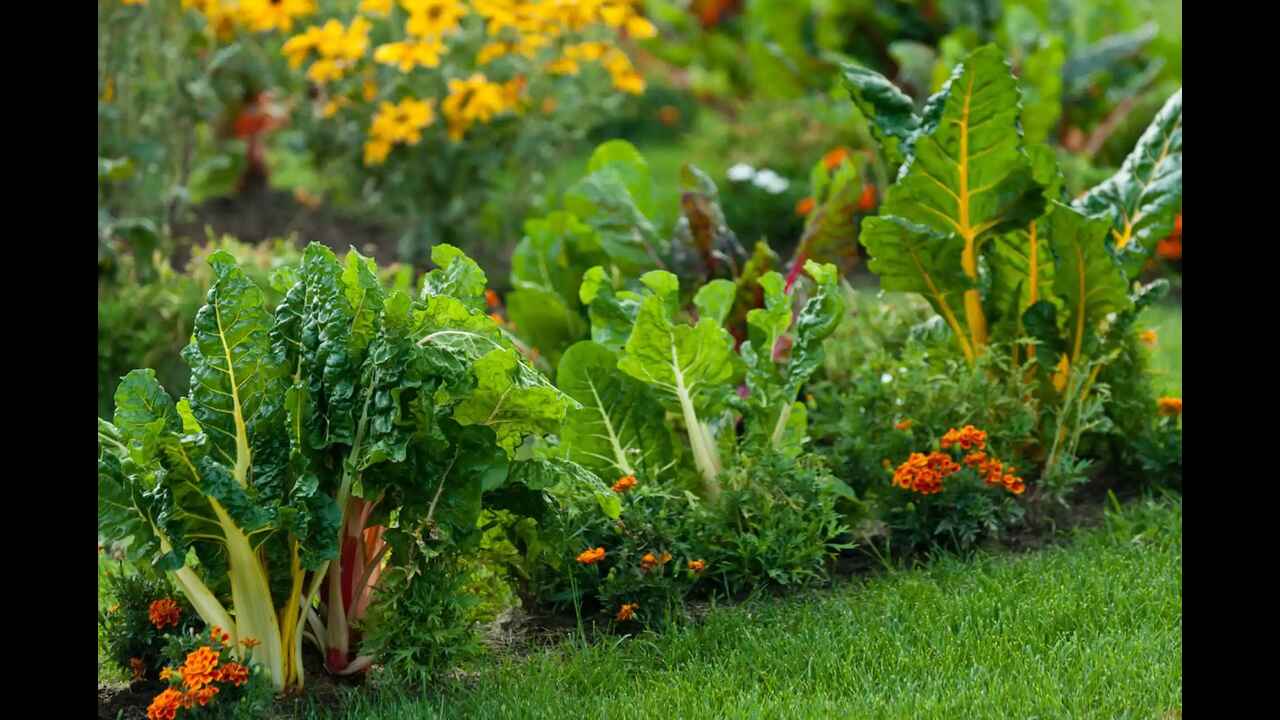 What Are The Benefits Of Companion Planting