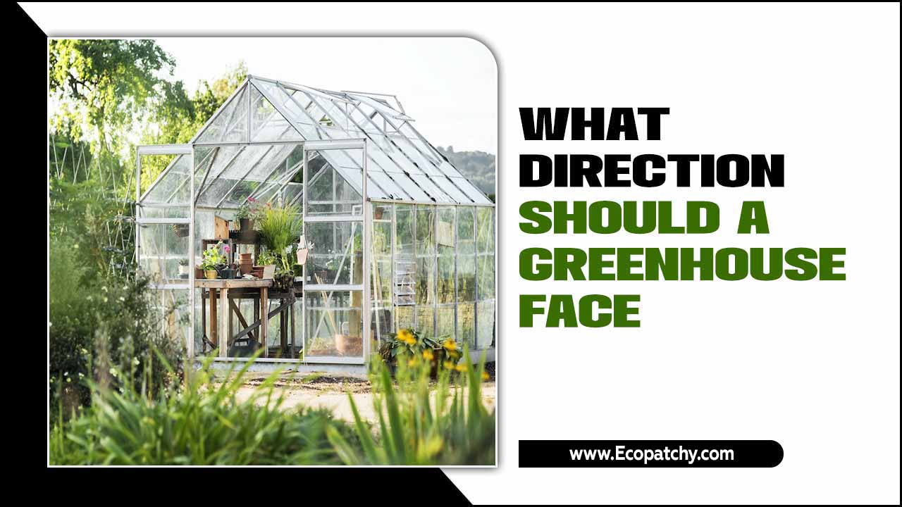 What Direction Should A Greenhouse Face