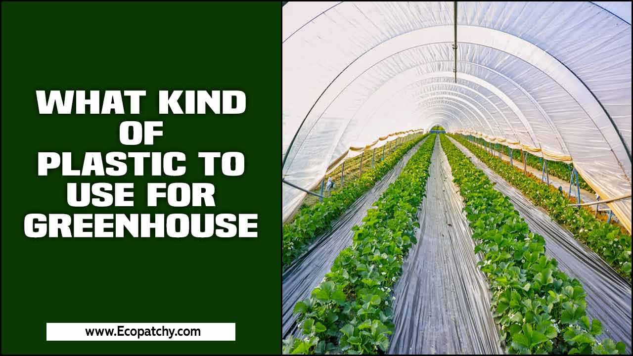What Kind Of Plastic To Use For Greenhouse