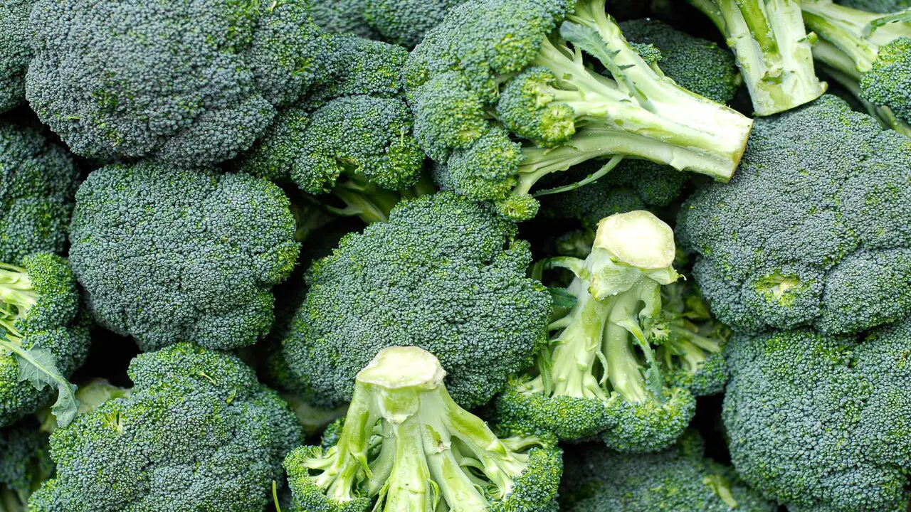 When To Harvest Broccoli For The Freshest And Most Flavorful Bites Explained