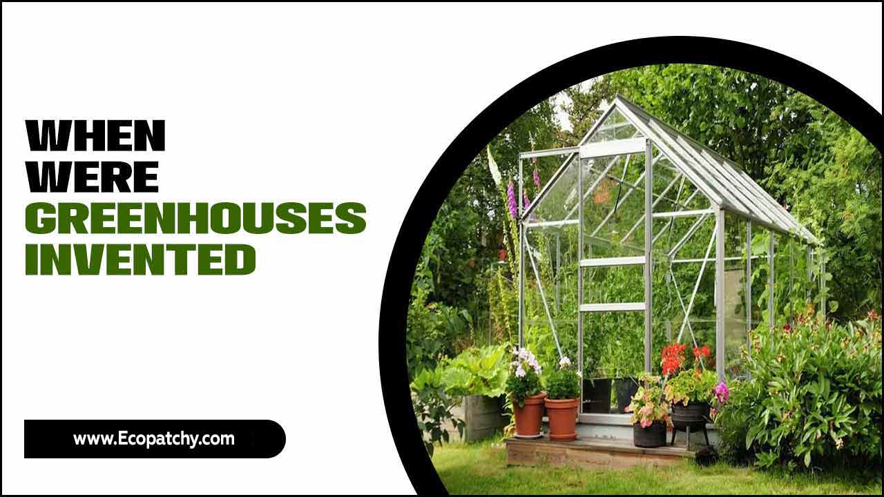 When Were Greenhouses Invented