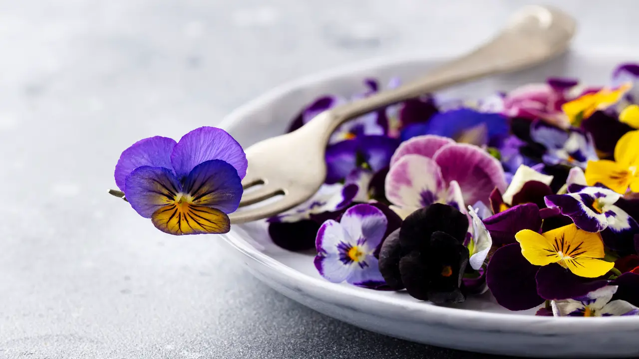 Which Flowers Are Edible A List Of Edible Flowers And Their Uses Explained